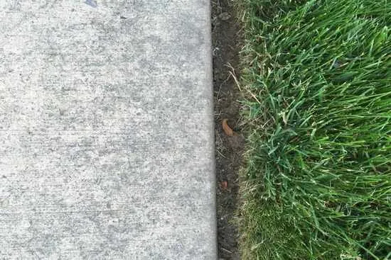 Bed Edging