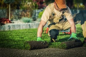 Laying Sod