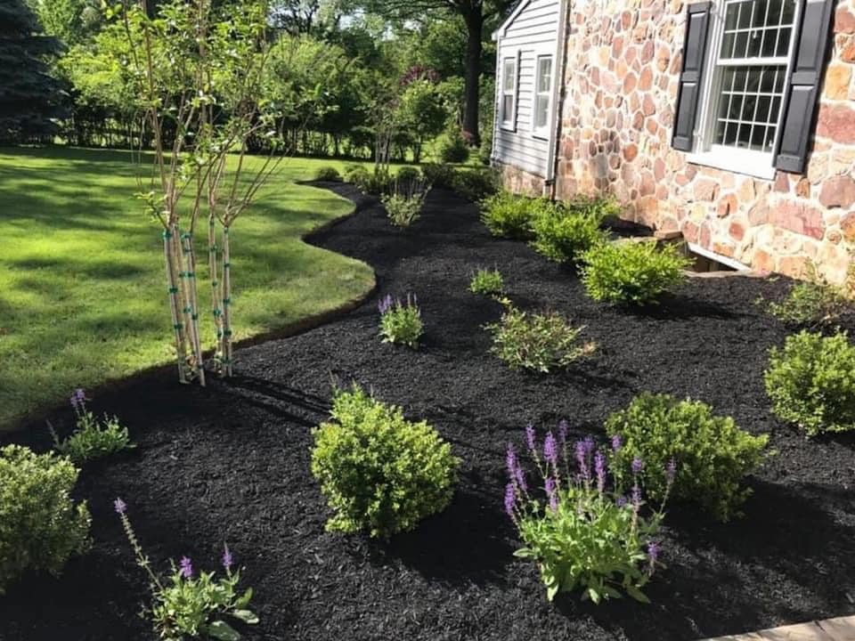 Landscaping - Side Yard