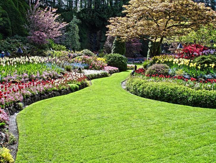 Landscape Design