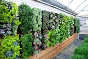 vertical-garden